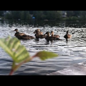 Meet your Posher, Matthew